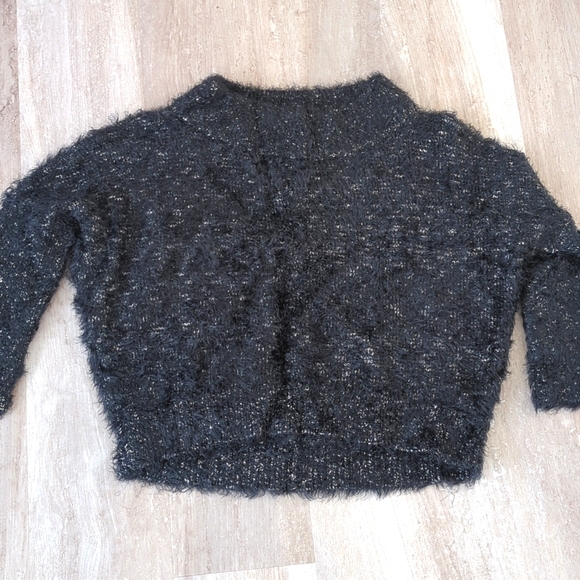 FINAL SALE 🌿EXPRESS FUZZY CROP SWEATER🌿 - Picture 1 of 4